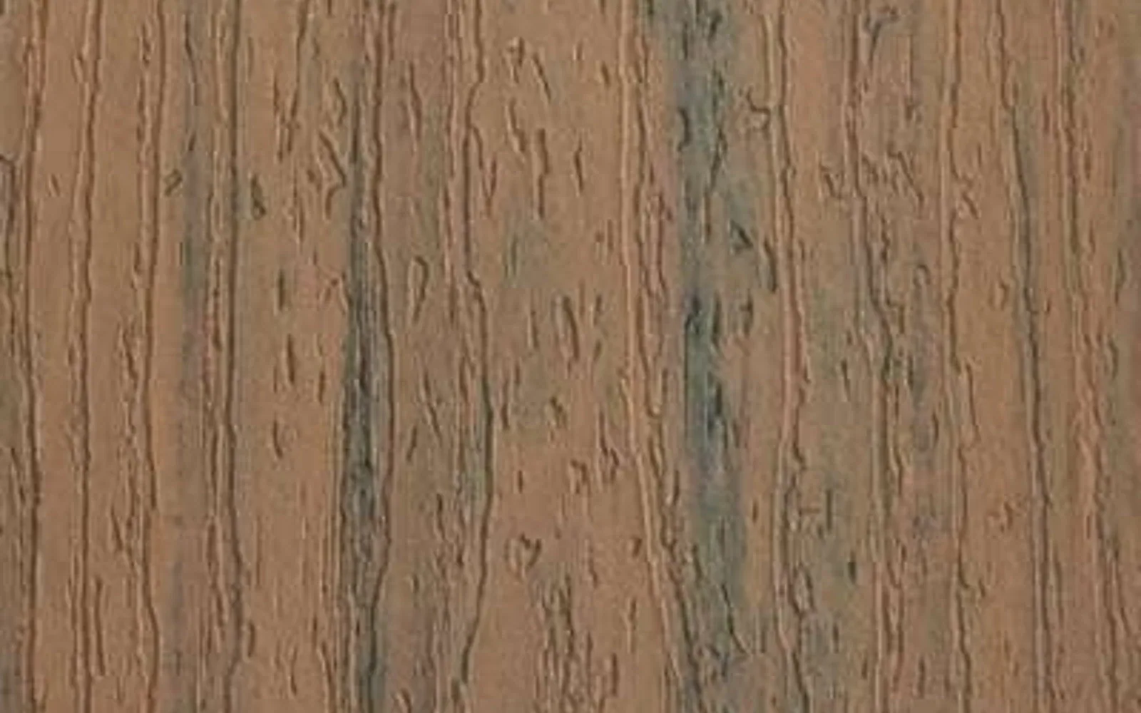 Toasted Sand