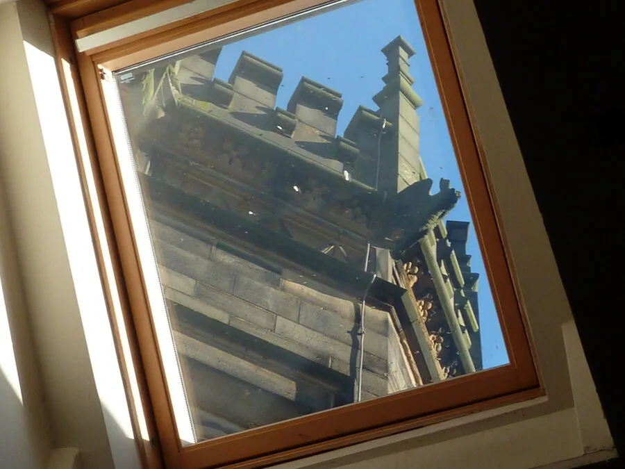 Skylights & Specialty
